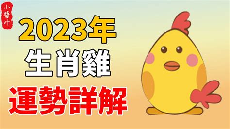 1957屬雞2023運勢|2023年12生肖幸運月出爐！屬雞長達6個月都交好運